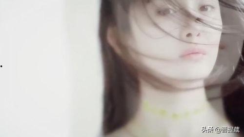 老娱乐圈吃瓜群众,老吃瓜群众揭秘幕后真相